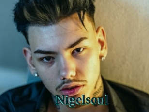 Nigelsoul