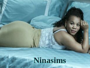 Ninasims