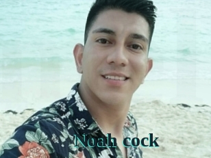 Noah_cock