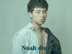 Noah_dupont