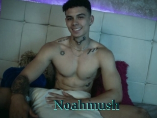 Noahmush