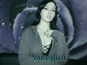 Noraspirit