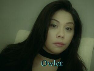 _Owlet_