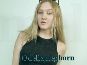 Odellagleghorn