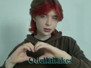 Odellahakes