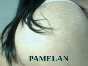 PAMELA_N