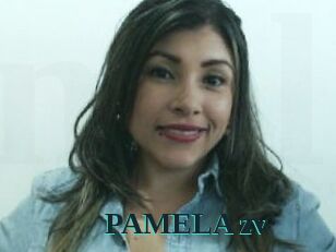 PAMELA_zv