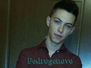 Pedrogenove