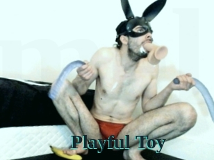 Playful_Toy