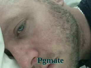 Pgmate