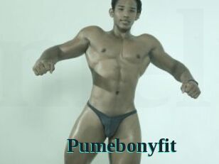 Pumebonyfit