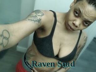 Raven_Stud