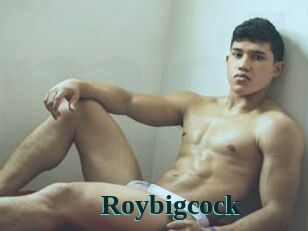 Roybigcock