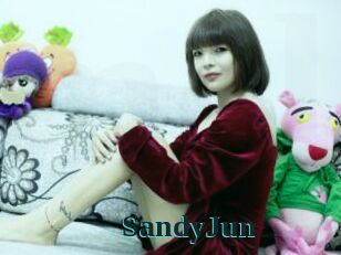 SandyJun