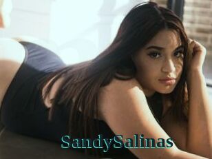 SandySalinas