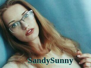 SandySunny