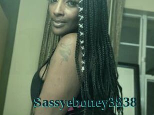 Sassyeboney3838