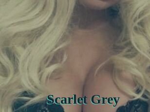 Scarlet_Grey