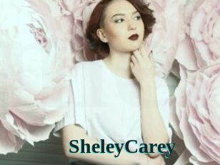 SheleyCarey