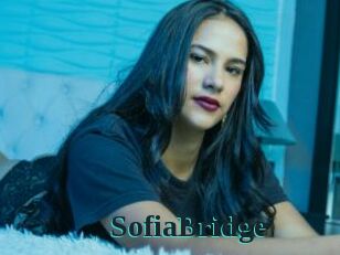 SofiaBridge