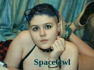 SpaceOwl