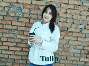 Tulip