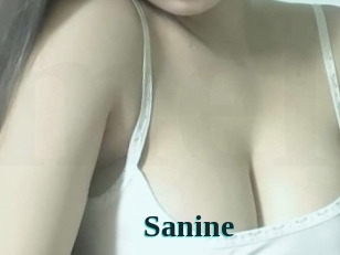 Sanine