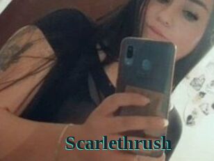 Scarlethrush