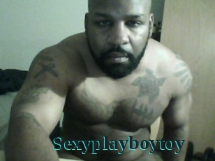 Sexyplayboytoy