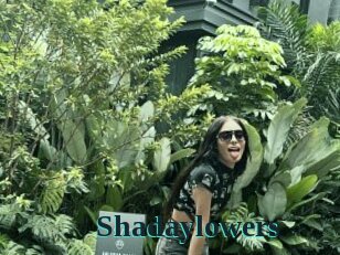 Shadaylowers