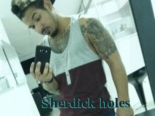Sherdick_holes
