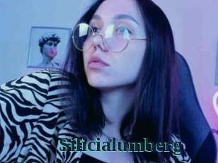 Silicialumberg