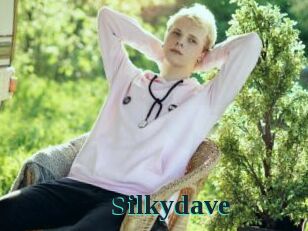 Silkydave