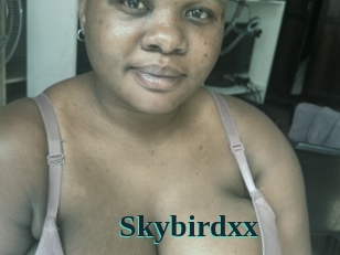 Skybirdxx