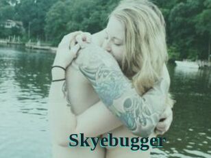 Skyebugger