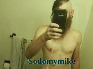 Sodomymike