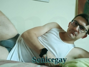 Sonicegay