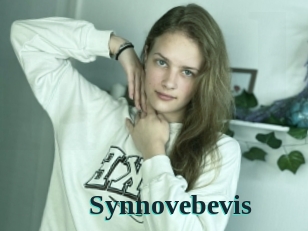 Synnovebevis