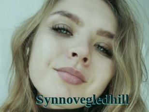 Synnovegledhill