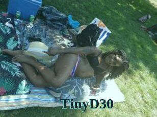 TinyD30