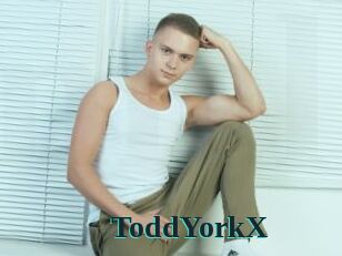 ToddYorkX