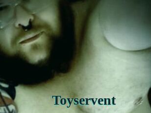 Toyservent