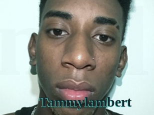 Tammylambert