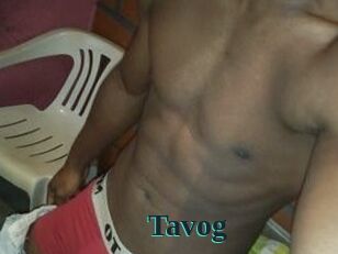 Tavog