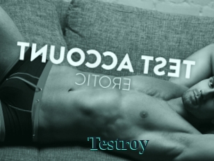 Testroy