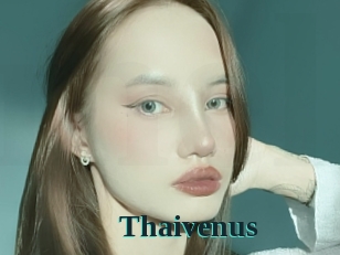 Thaivenus