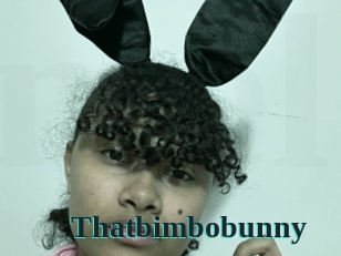 Thatbimbobunny