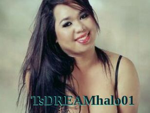 TsDREAMhalo01