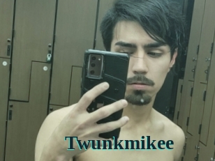 Twunkmikee