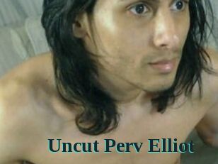 Uncut_Perv_Elliot